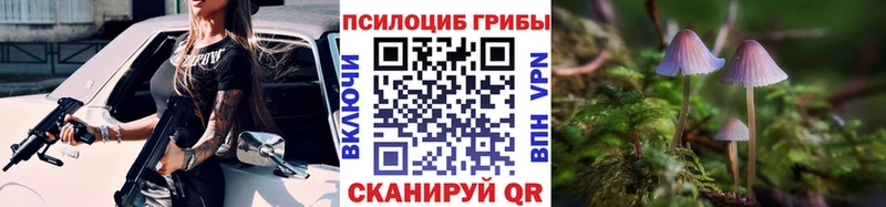 Галлюциногенные грибы Psilocybine cubensis  blacksprut ONION  Покровск 